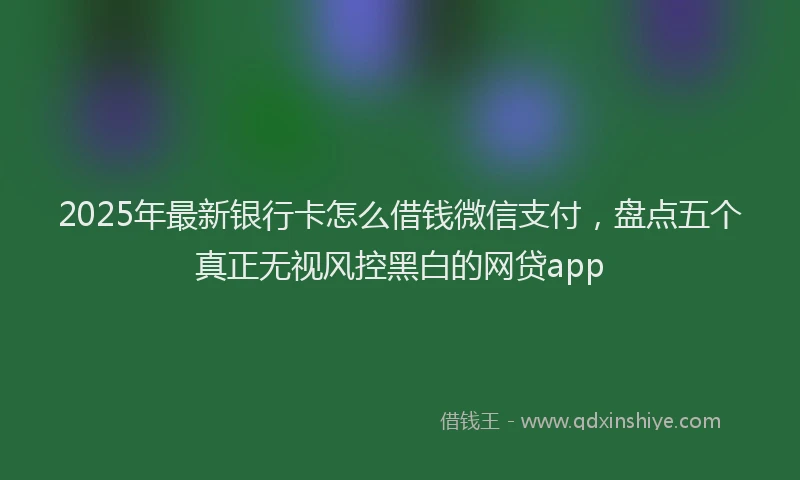 2025年最新银行卡怎么借钱微信支付，盘点五个真正无视风控黑白的网贷app