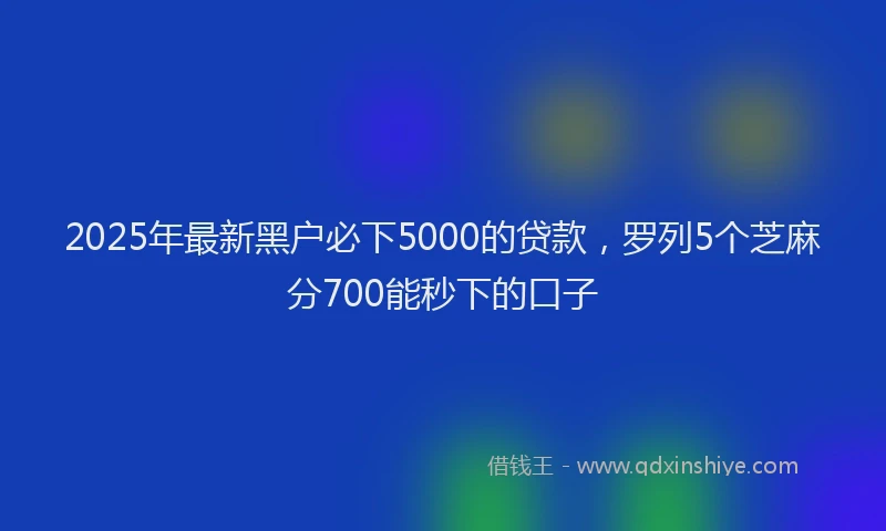 2025年最新黑户必下5000的贷款，罗列5个芝麻分700能秒下的口子