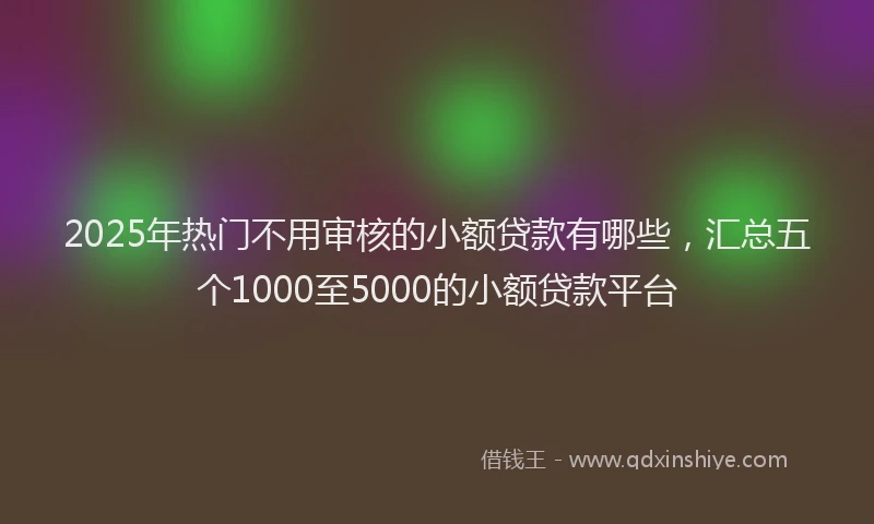 2025年热门不用审核的小额贷款有哪些，汇总五个1000至5000的小额贷款平台