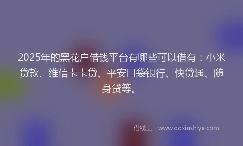 2025年的黑花户借钱平台有哪些可以借有：小米贷款、维信卡卡贷、平安口袋银行、快贷通、随身贷等。