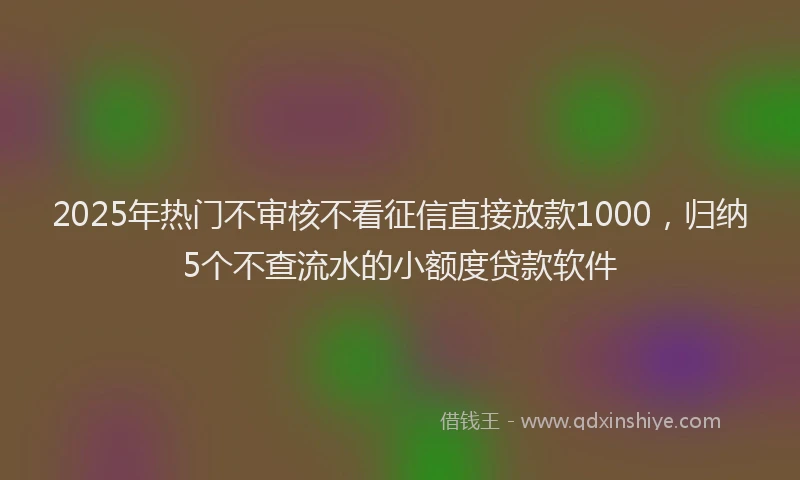 2025年热门不审核不看征信直接放款1000，归纳5个不查流水的小额度贷款软件