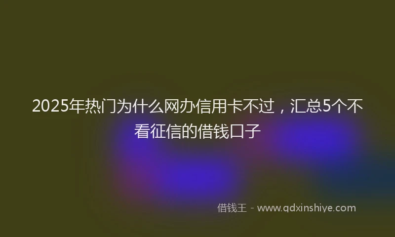 2025年热门为什么网办信用卡不过，汇总5个不看征信的借钱口子