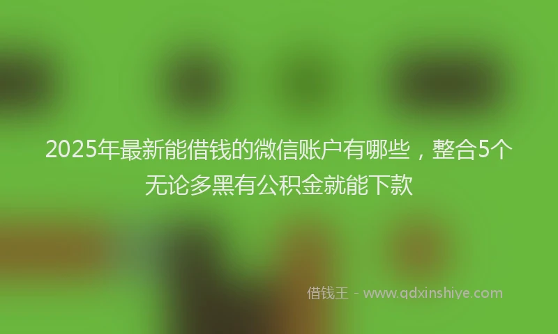 2025年最新能借钱的微信账户有哪些，整合5个无论多黑有公积金就能下款