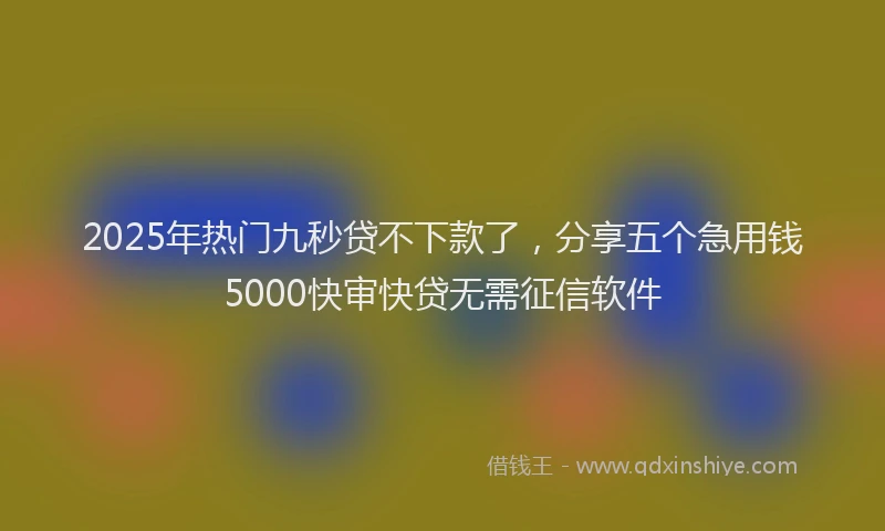2025年热门九秒贷不下款了，分享五个急用钱5000快审快贷无需征信软件