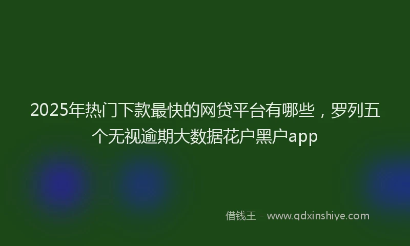 2025年热门下款最快的网贷平台有哪些，罗列五个无视逾期大数据花户黑户app