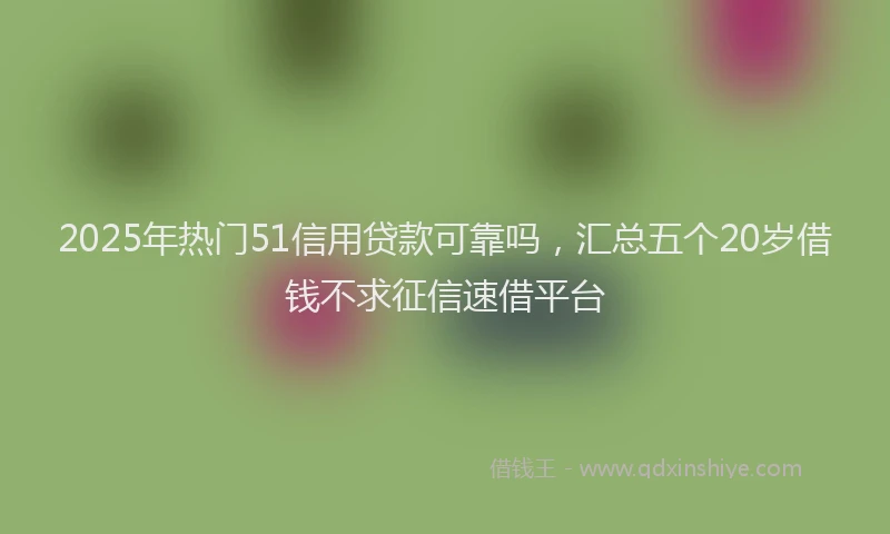 2025年热门51信用贷款可靠吗，汇总五个20岁借钱不求征信速借平台