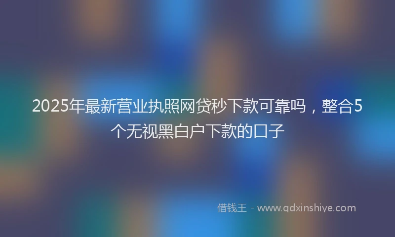 2025年最新营业执照网贷秒下款可靠吗，整合5个无视黑白户下款的口子
