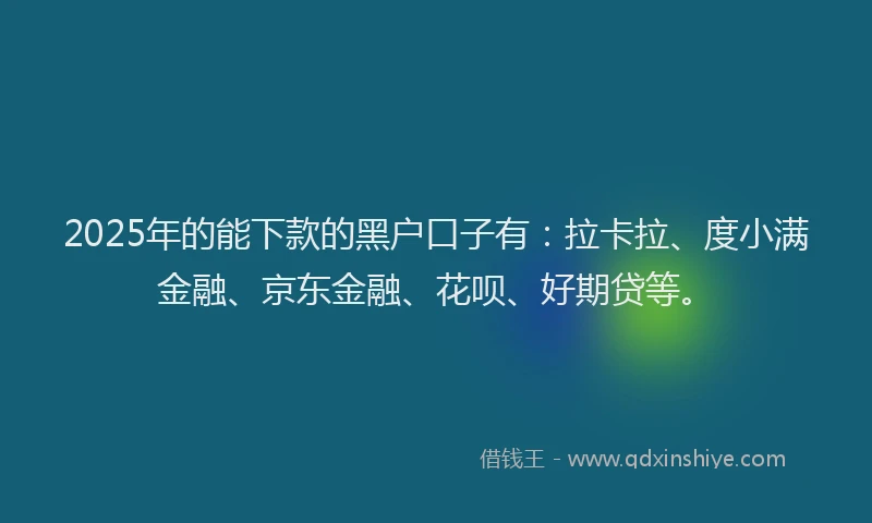 2025年的能下款的黑户口子有：拉卡拉、度小满金融、京东金融、花呗、好期贷等。