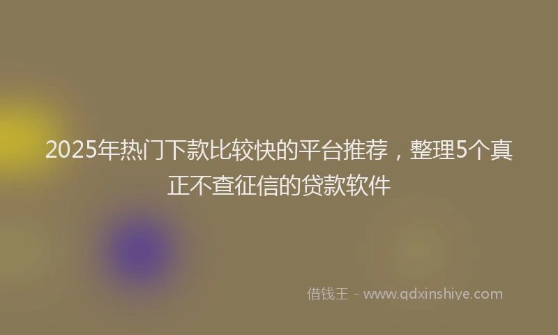 2025年热门下款比较快的平台推荐，整理5个真正不查征信的贷款软件