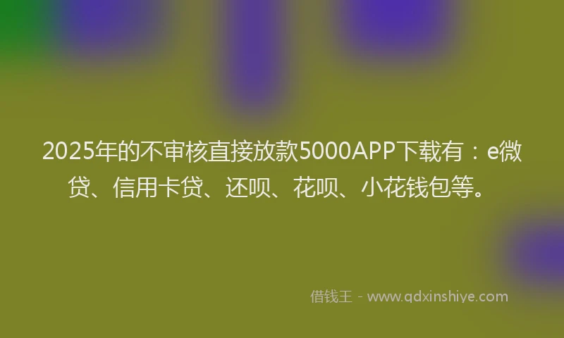 2025年的不审核直接放款5000APP下载有：e微贷、信用卡贷、还呗、花呗、小花钱包等。