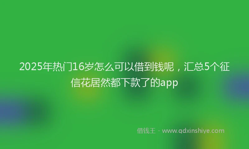 2025年热门16岁怎么可以借到钱呢，汇总5个征信花居然都下款了的app