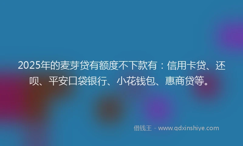 2025年的麦芽贷有额度不下款有：信用卡贷、还呗、平安口袋银行、小花钱包、惠商贷等。