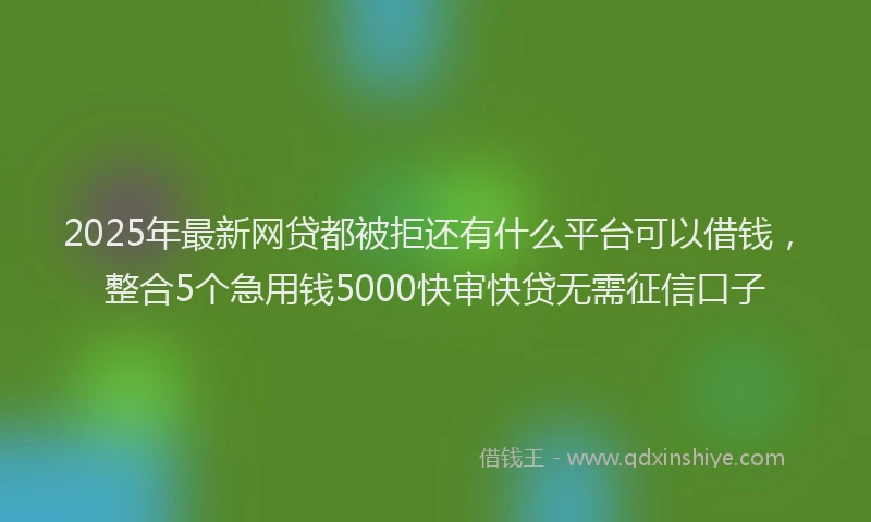 2025年最新网贷都被拒还有什么平台可以借钱，整合5个急用钱5000快审快贷无需征信口子
