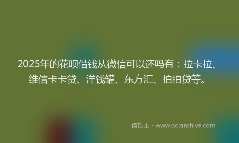 2025年的花呗借钱从微信可以还吗有：拉卡拉、维信卡卡贷、洋钱罐、东方汇、拍拍贷等。