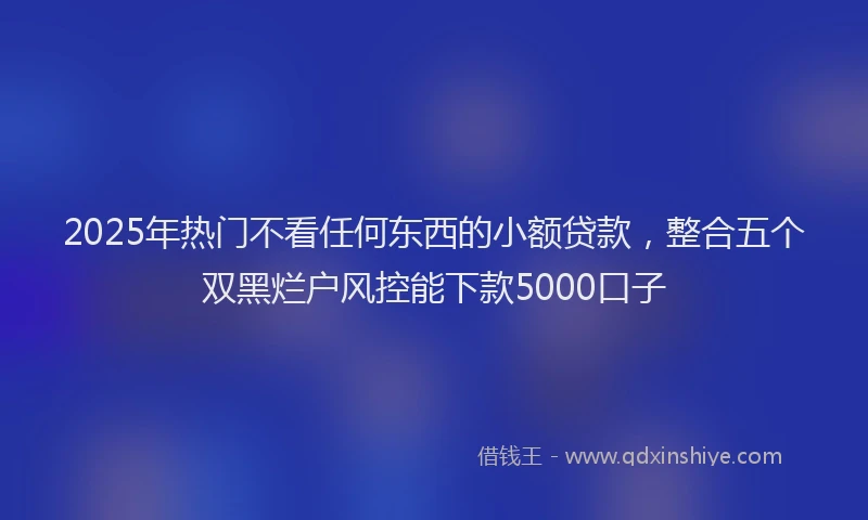 2025年热门不看任何东西的小额贷款，整合五个双黑烂户风控能下款5000口子