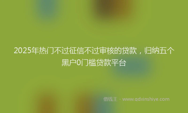 2025年热门不过征信不过审核的贷款，归纳五个黑户0门槛贷款平台