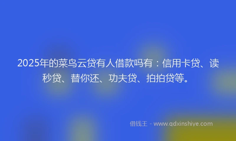 2025年的菜鸟云贷有人借款吗有：信用卡贷、读秒贷、替你还、功夫贷、拍拍贷等。