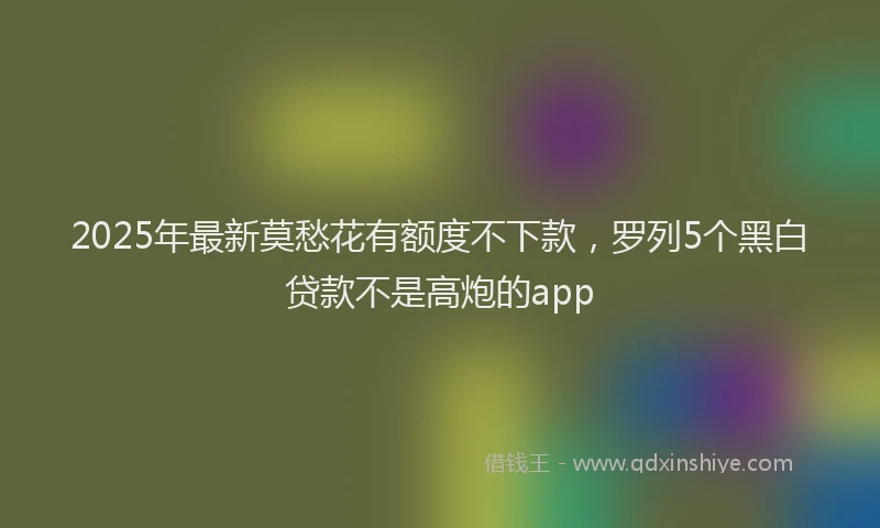 2025年最新莫愁花有额度不下款，罗列5个黑白贷款不是高炮的app