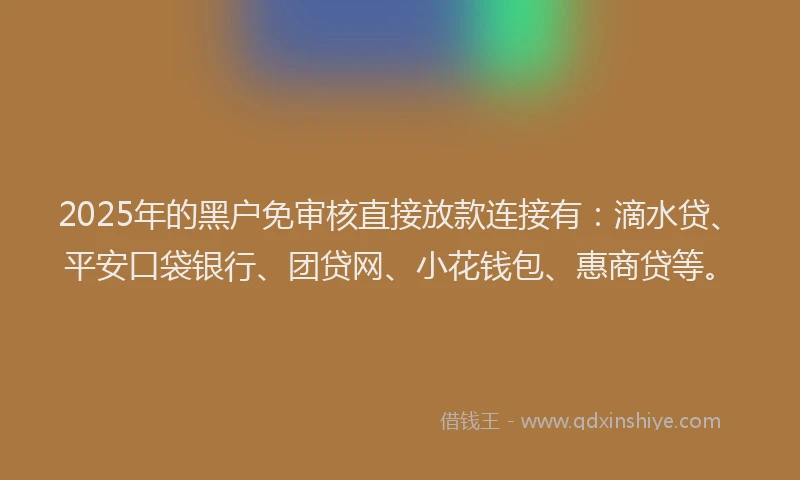 2025年的黑户免审核直接放款连接有：滴水贷、平安口袋银行、团贷网、小花钱包、惠商贷等。