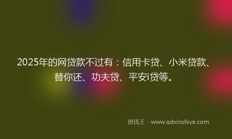 2025年的网贷款不过有：信用卡贷、小米贷款、替你还、功夫贷、平安i贷等。
