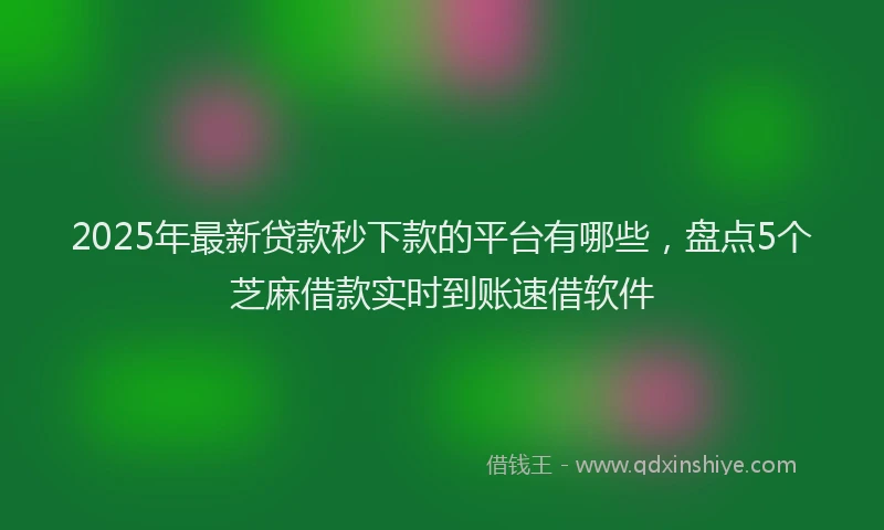2025年最新贷款秒下款的平台有哪些，盘点5个芝麻借款实时到账速借软件