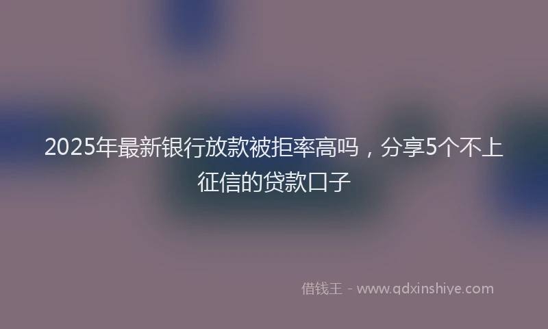 2025年最新银行放款被拒率高吗，分享5个不上征信的贷款口子