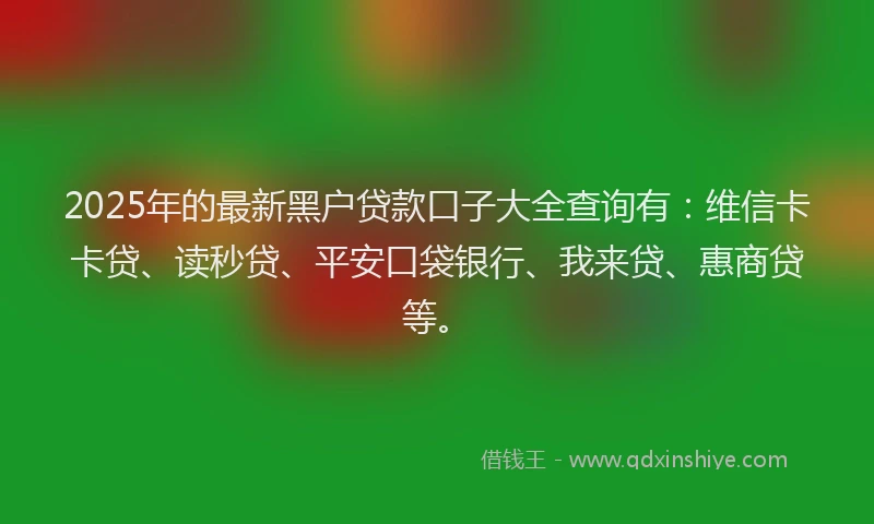 2025年的最新黑户贷款口子大全查询有：维信卡卡贷、读秒贷、平安口袋银行、我来贷、惠商贷等。