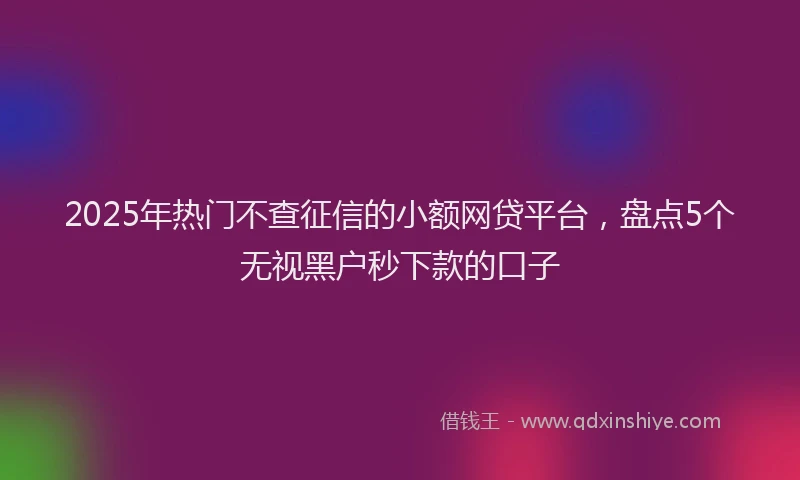 2025年热门不查征信的小额网贷平台，盘点5个无视黑户秒下款的口子