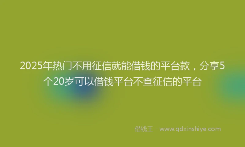2025年热门不用征信就能借钱的平台款，分享5个20岁可以借钱平台不查征信的平台