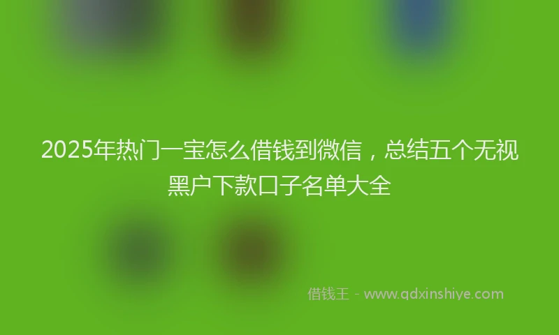 2025年热门一宝怎么借钱到微信，总结五个无视黑户下款口子名单大全