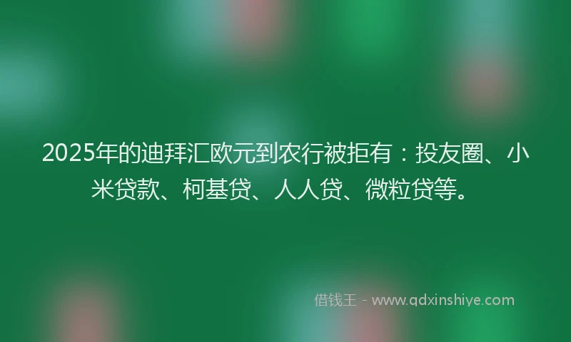 2025年的迪拜汇欧元到农行被拒有：投友圈、小米贷款、柯基贷、人人贷、微粒贷等。