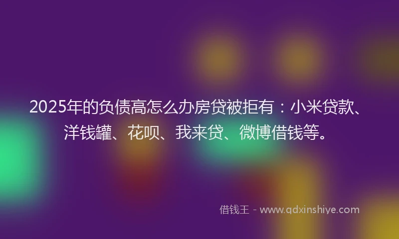 2025年的负债高怎么办房贷被拒有：小米贷款、洋钱罐、花呗、我来贷、微博借钱等。