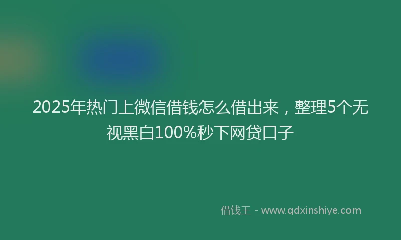 2025年热门上微信借钱怎么借出来，整理5个无视黑白100%秒下网贷口子