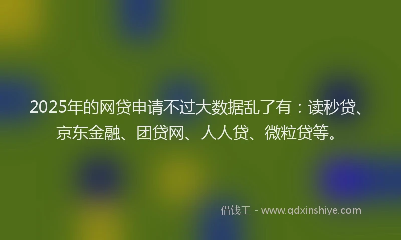 2025年的网贷申请不过大数据乱了有：读秒贷、京东金融、团贷网、人人贷、微粒贷等。