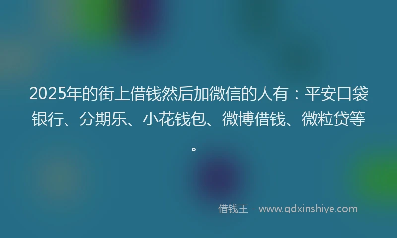 2025年的街上借钱然后加微信的人有：平安口袋银行、分期乐、小花钱包、微博借钱、微粒贷等。