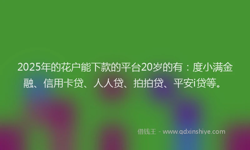 2025年的花户能下款的平台20岁的有：度小满金融、信用卡贷、人人贷、拍拍贷、平安i贷等。