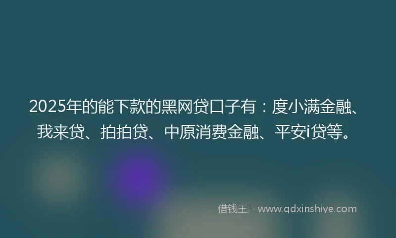 2025年的能下款的黑网贷口子有：度小满金融、我来贷、拍拍贷、中原消费金融、平安i贷等。