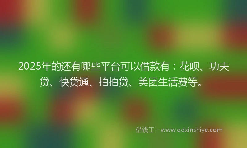 2025年的还有哪些平台可以借款有：花呗、功夫贷、快贷通、拍拍贷、美团生活费等。
