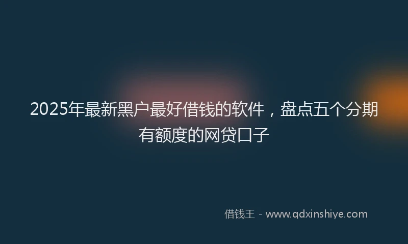 2025年最新黑户最好借钱的软件，盘点五个分期有额度的网贷口子