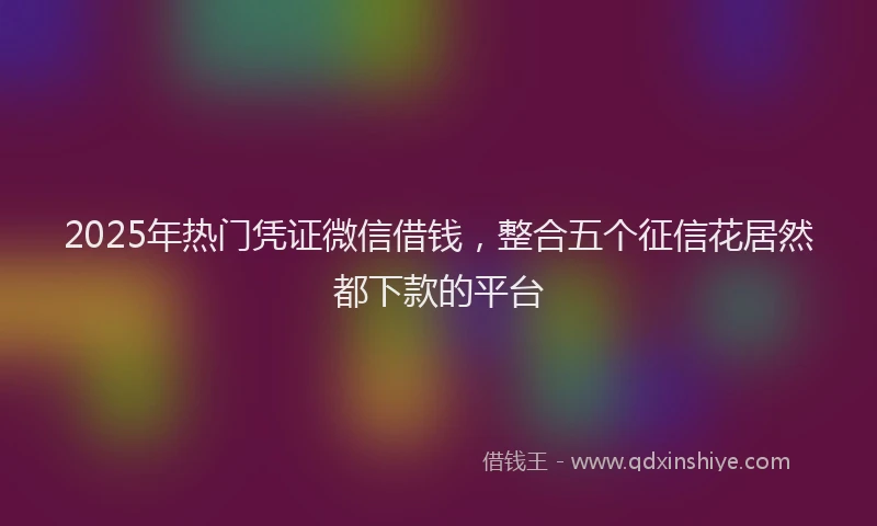 2025年热门凭证微信借钱，整合五个征信花居然都下款的平台