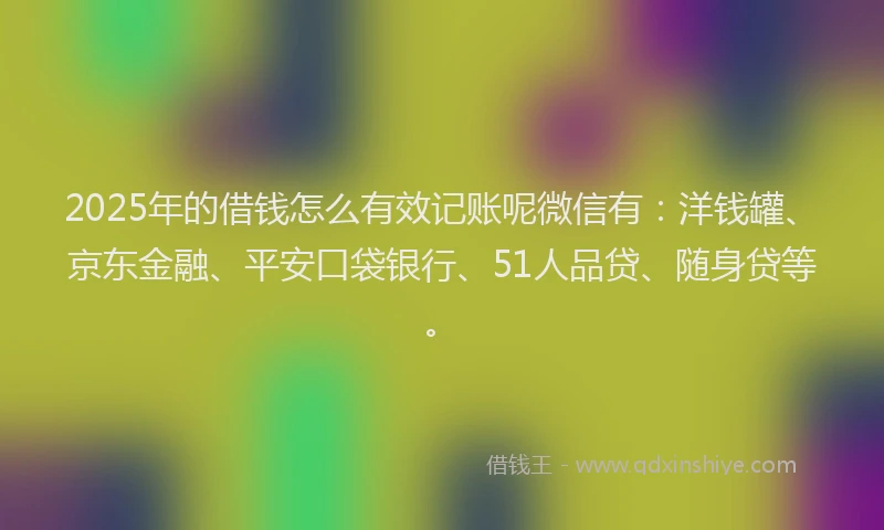 2025年的借钱怎么有效记账呢微信有：洋钱罐、京东金融、平安口袋银行、51人品贷、随身贷等。