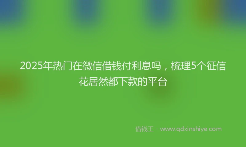 2025年热门在微信借钱付利息吗，梳理5个征信花居然都下款的平台