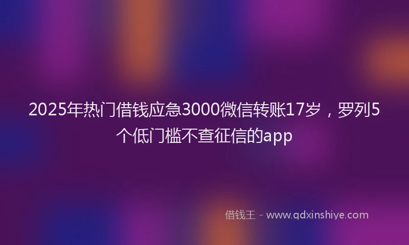 2025年热门借钱应急3000微信转账17岁，罗列5个低门槛不查征信的app