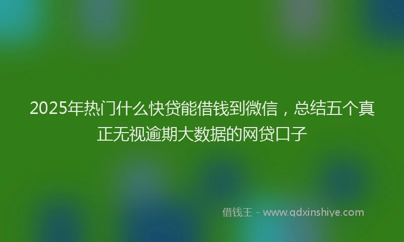 2025年热门什么快贷能借钱到微信，总结五个真正无视逾期大数据的网贷口子