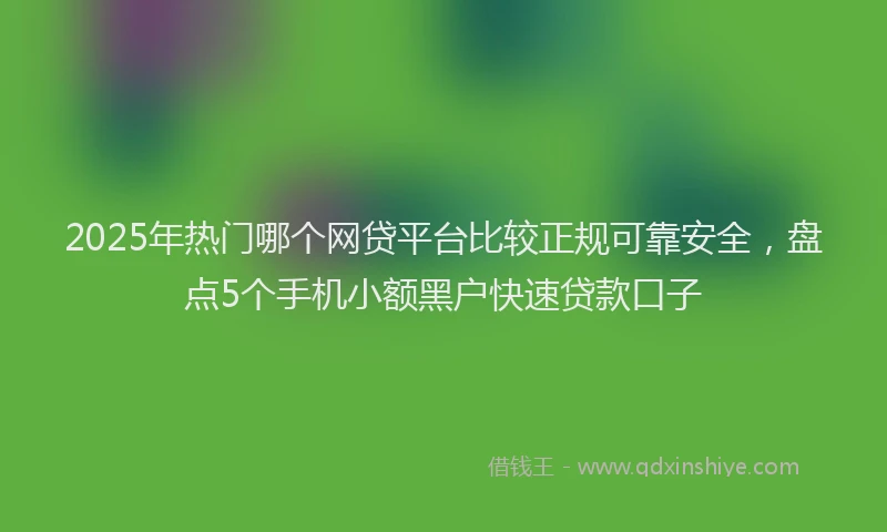 2025年热门哪个网贷平台比较正规可靠安全，盘点5个手机小额黑户快速贷款口子