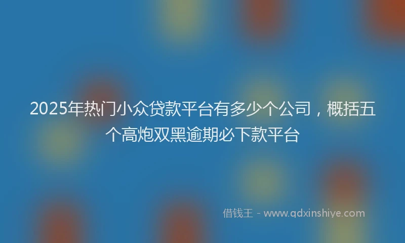 2025年热门小众贷款平台有多少个公司，概括五个高炮双黑逾期必下款平台