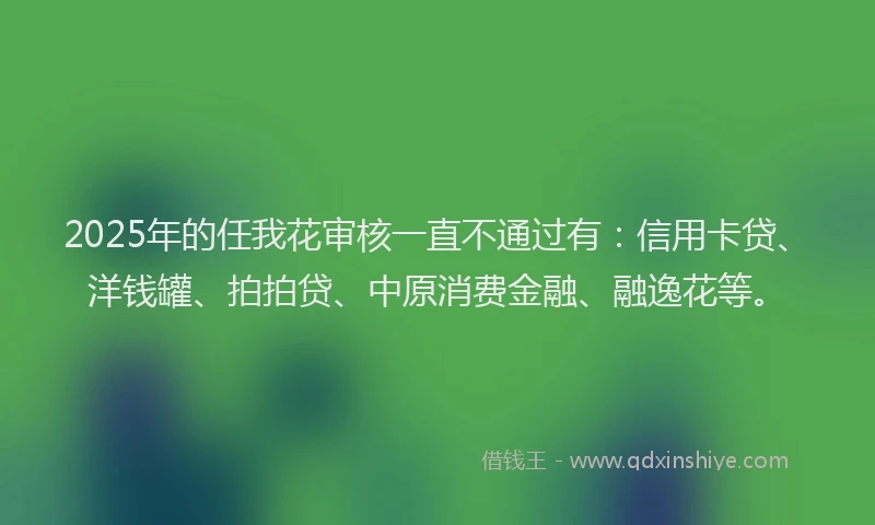 2025年的任我花审核一直不通过有：信用卡贷、洋钱罐、拍拍贷、中原消费金融、融逸花等。