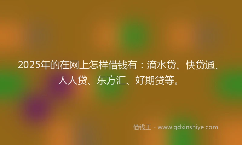 2025年的在网上怎样借钱有：滴水贷、快贷通、人人贷、东方汇、好期贷等。