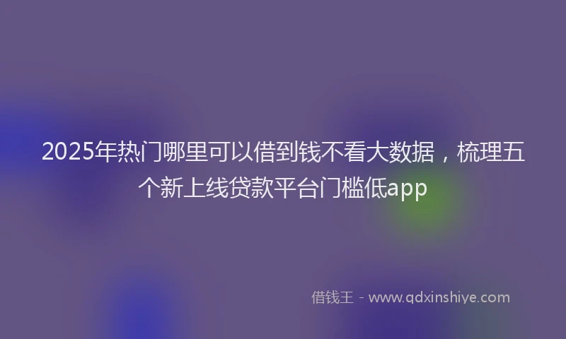 2025年热门哪里可以借到钱不看大数据，梳理五个新上线贷款平台门槛低app