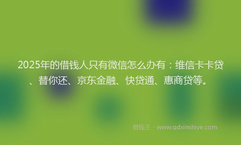 2025年的借钱人只有微信怎么办有：维信卡卡贷、替你还、京东金融、快贷通、惠商贷等。